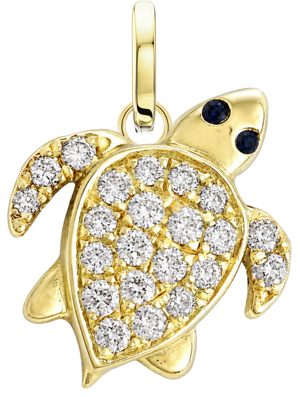 Turtle Talisman Charm