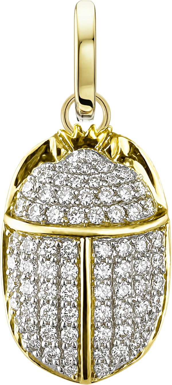 Guardian Scarab Charm