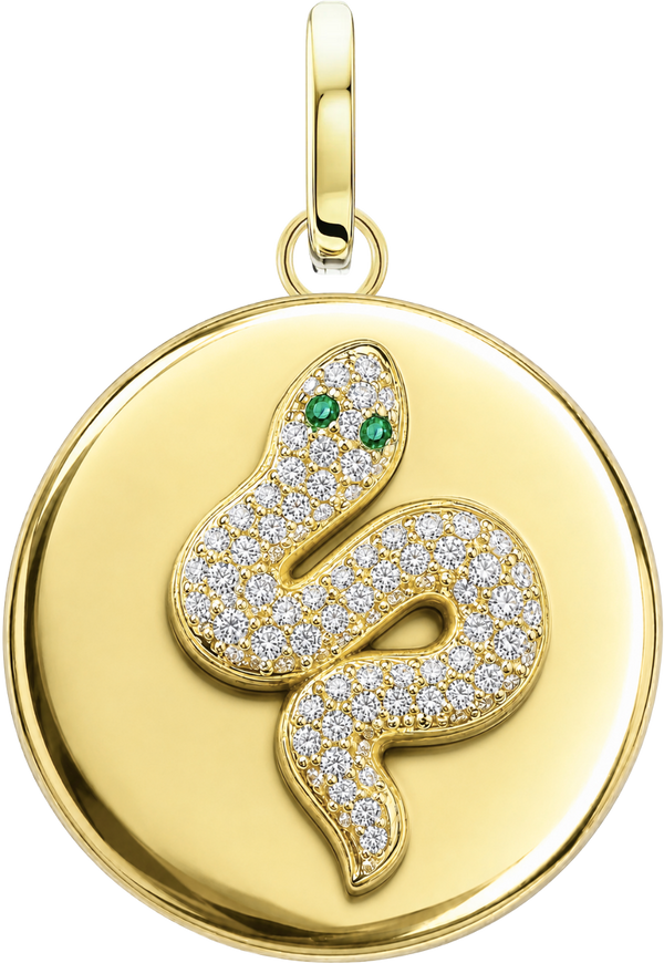 Serpent Medallion