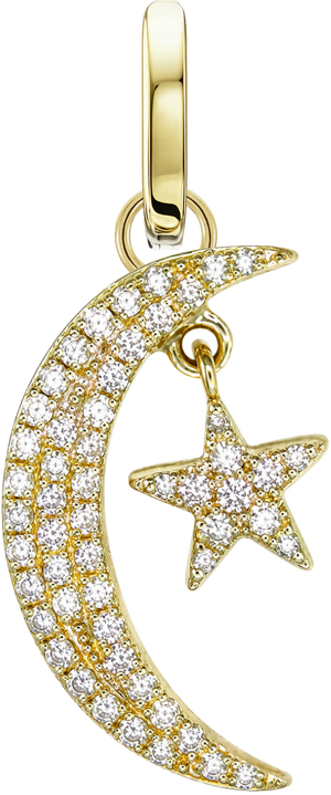Starlit Crescent Charm