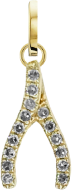 Charm - Wishbone Charm