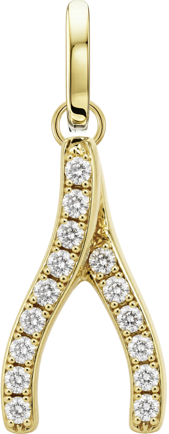 Wishbone Charm