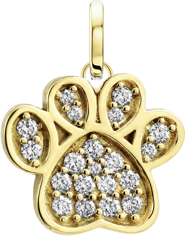 Paw of Devotion Charm